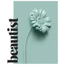 Duo Quotidien Démêlant Beautist Subtil 10 Duo Quotidien Démêlant Beautist Subtil -Wella Magasin duo quotidien demelant beautist subtil 3