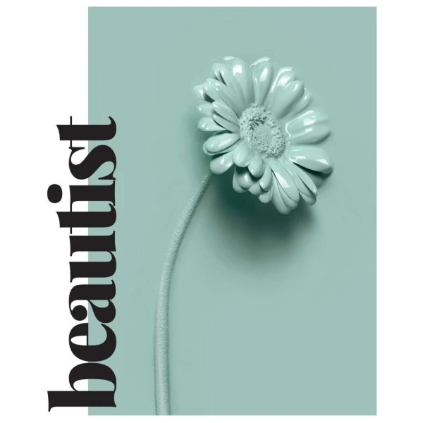 Duo Quotidien Démêlant Beautist Subtil 6 Duo Quotidien Démêlant Beautist Subtil – Image 4