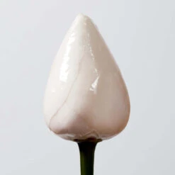 Huile Nourrissante Sailor Moon Essence Absolue Shu Uemura 150ML 10 Huile Nourrissante Sailor Moon Essence Absolue Shu Uemura 150ML -Wella Magasin huile essence absolue shu uemura 150ml 3