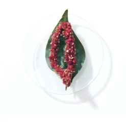 Shampooing Neutralisant BlondMe Schwarzkopf 300ML -Wella Magasin shampooing neutralisant blondme schwarzkopf 300ml 1