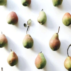 Shampooing Revitalisant Back-bar Farmavita 250ML 7 Shampooing Revitalisant Back-bar Farmavita 250ML -Wella Magasin shampooing revitalisant back bar farmavita 250ml 2