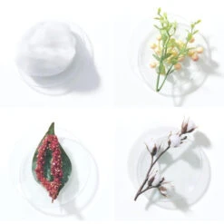 Shampooing Riche BlondMe Schwarzkopf 300ML -Wella Magasin shampooing riche blondme schwarzkopf 300ml 1